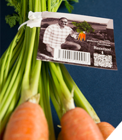 Carrots ARC website